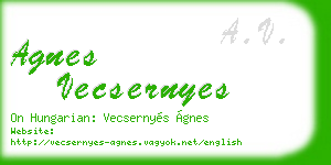 agnes vecsernyes business card