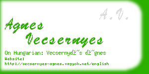 agnes vecsernyes business card